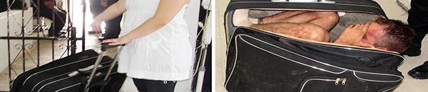 هذه أغرب الأشياء التي حاول المسافرون تهريبها عبر مطارات أمريكا 10 تهريب