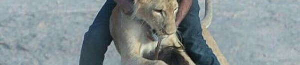 بالفيديو .. متظاهر عراقي يستعين بـ” أسد ” للدفاع عن المتظاهرين من الكلاب البوليسية ! 10 صراع مع أسد