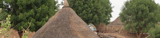 القطية: تراث سوداني قديم يقاوم الحداثة 11 قطية