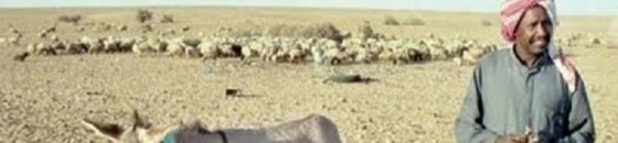 1438350277128810 560x308