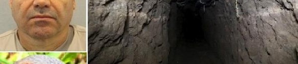 عصفور ساعد بارون المخدرات ليفر من أصعب سجون المكسيك 10 3d2e2ced 66b4 467f 9d09 024915308497 16x9 600x338