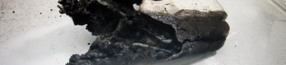 7188d429315c7b42a8b9f179a73efc3d w570 h0