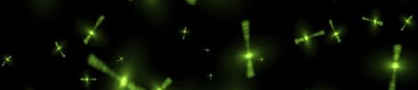 علماء يزعمون معرفتهم بالزمن الذي سيفنى فيه الوجود 10 d2cb9ee3 3334 4615 83a1 8dda35b74a57 16x9 600x338