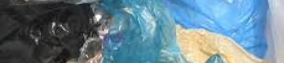 elbashayer image 1436755645