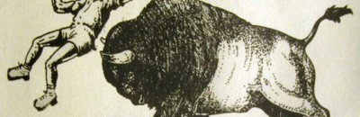 ثور أمريكي ينطح امرأة حاولت التقاط صورة سيلفي معه في متنزه يلوستون 10 selfie1 400x259