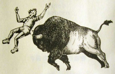 ثور أمريكي ينطح امرأة حاولت التقاط صورة سيلفي معه في متنزه يلوستون 1 selfie1