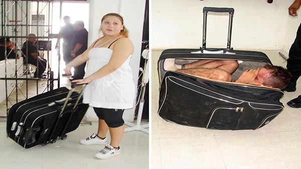 هذه أغرب الأشياء التي حاول المسافرون تهريبها عبر مطارات أمريكا 1 تهريب