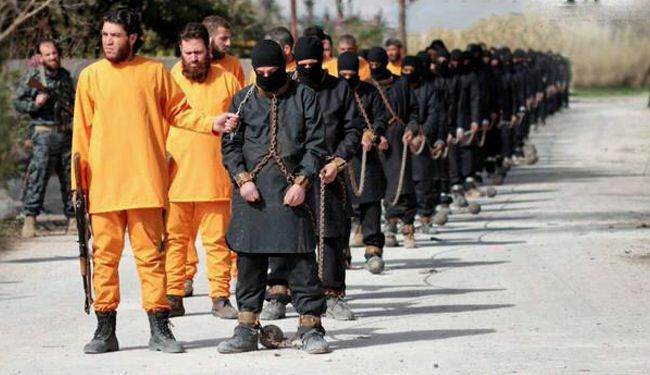جيش الاسلام و داعش