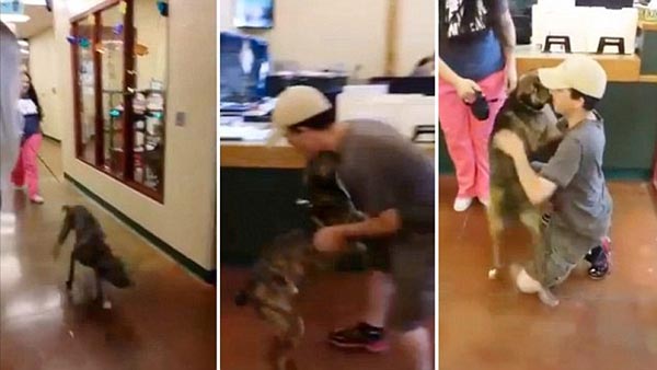 بالفيديو .. رد فعل رجل قضى كلب حاجته عليه 1 كلب و صاحبه