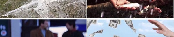 بالفيديو: أغرب 10 أشياء أُمطرت بها السماء! 10 أشياء أُمطرت بها السماء