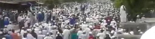 بقرة تقتحم مسجد