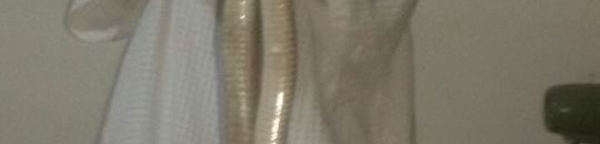 بالفيديو .. وفاة حسين المشهور بتقبيل الثعابين بلدغة كوبرا سامة 10 ثعبان