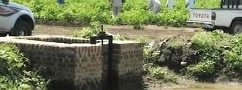 زراعة جزيرة