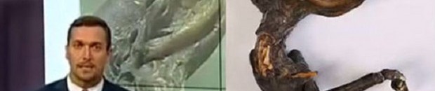 بالفيديو: سكان بلدة روسية يعثرون على كائن غريب ظهر قرب محطة نووية 10 سكان بلدة روسية يعثرون على كائن غريب ظهر قرب محطة نووية