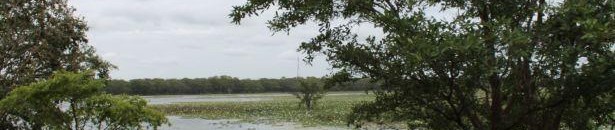 بالفيديو.. مراسل يذيع تقريرا على الهواء أثناء غرقه في مياه الفيضان 10 سيلان