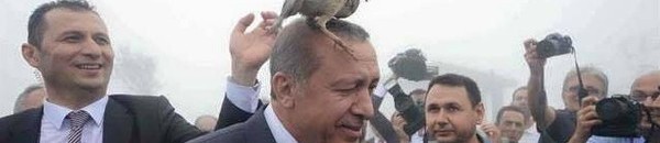 بالفيديو: صراخ مضحك من قبل حراس أردوغان في أمريكا 10 طائر فوق رأس أردوغان