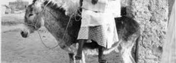 "ست دنيا" أشهر وأقدم قابلة في السودان 10 قابلة