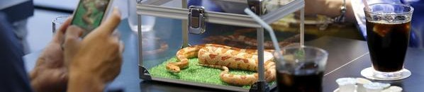 بالفيديو .. شاب أسمر يستحم داخل مغسلة صحون في مطعم شهير بأمريكا! 10 مطعم