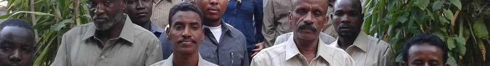 معدني الذهب2