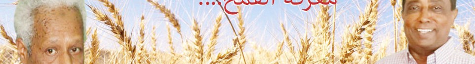 وزير المالية