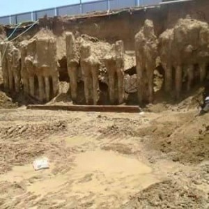 11223603_981386201905767_2584853878082487525_n