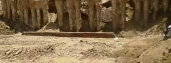 11223603 981386201905767 2584853878082487525 n