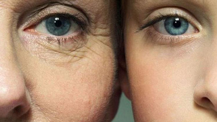 فاكهة تحول عجوز ثمانينية الي شابة .. تعرف علي هذه الثمرة 1 شباب