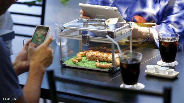 بالفيديو .. شاب أسمر يستحم داخل مغسلة صحون في مطعم شهير بأمريكا! 1 مطعم