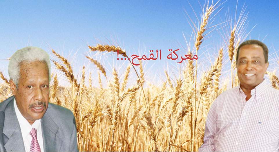 وزير المالية