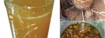 اللجوء لشربوت الكركدي والدوم والتبلدي لغلاء التمور 10 شربوت