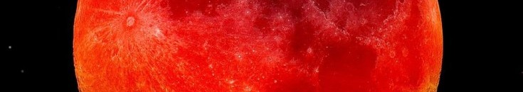 شاهد بالفيديو .. "ناسا" تصور "الجانب الآخر" الذي لا نراه للقمر 10 قمر الدم العملاق