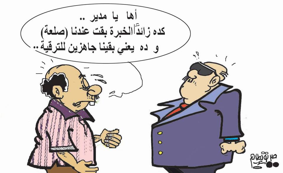 11954562 749316428525165 3708675702155961523 n