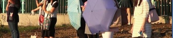 elbashayer image 1441562840