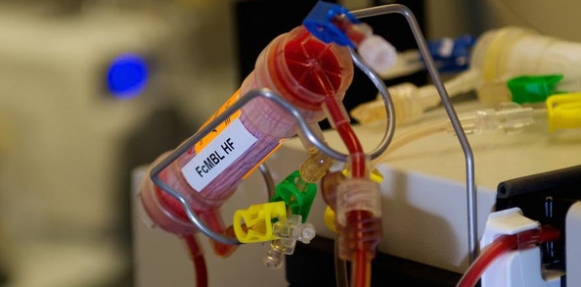 مصاصو دماء (جُدد).. (سماسرة) لبيع الدم..داخل المستشفيات..!! 1 elbashayer image 1442252809