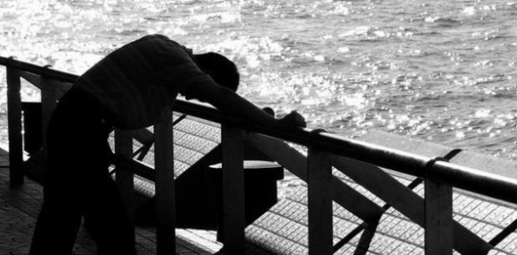 elbashayer image 1442423319