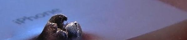 large آيفون ينقذ شابا من الموت بأمريكا 0a520