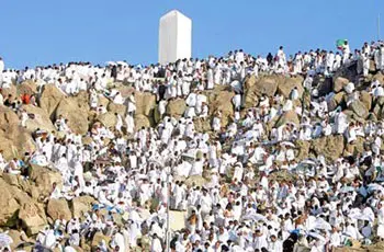 هل يجوز سفر المرأة للحج بدون محرم؟ 48 عرفة