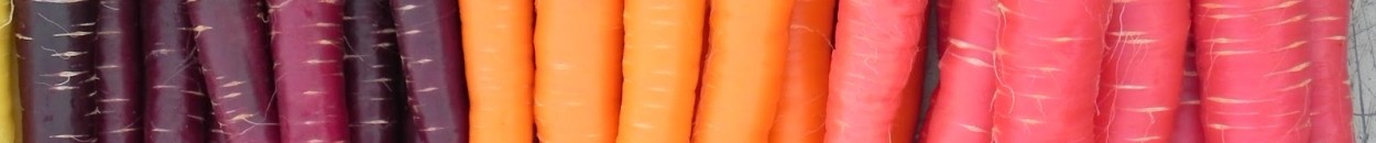 علماء ينجحون في كشف أسرار الجزر 10 جزر