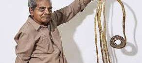 شريدهار تشيلال