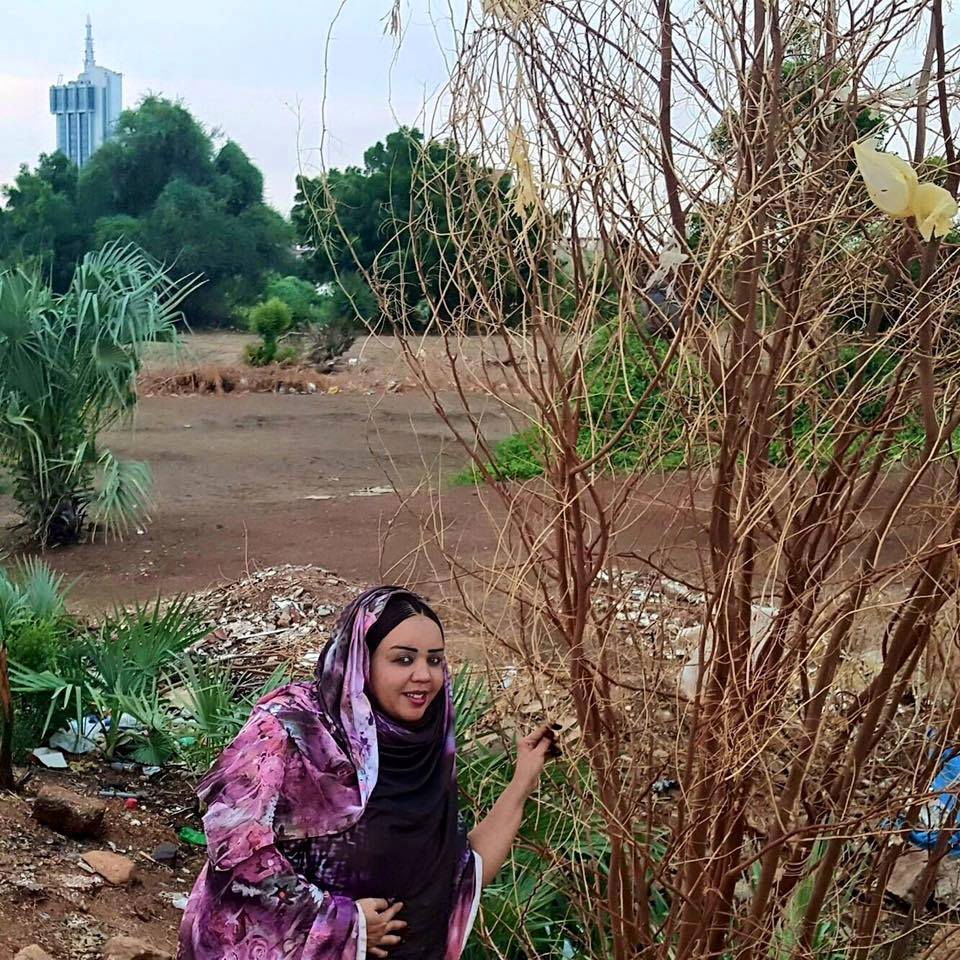 12170433_916364761779867_323776274_n