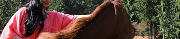 بالصورة .. حصان “يعض” هيفاء حسين في رومانيا 11 560eac44c775a