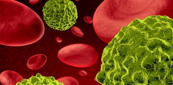 elbashayer image 1443892892