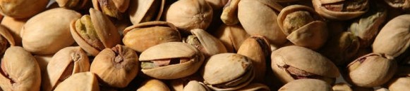 elbashayer image 1444583451