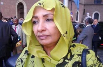 السودان يفوز برئاسة لجنة الأمن الغذائي العالمي 1 السفيرة أميرة قرناص