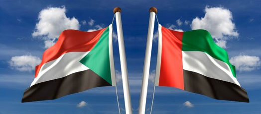 الإمارات تُعبِّر عن ارتياحها لتعاون السودان في حقوق الإنسان 1 السودان