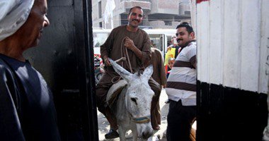 طرائف المصريين في إنتخابات برلمانهم