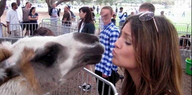 مع الحيوانات