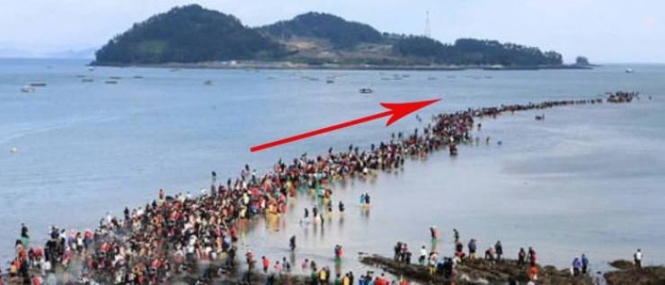 الحاجة أم الاختراع.. آلاف اللاجئين يسلكون طريقاً جديداً لدخول أوروبا 1 مهرجان انشقاق البحر