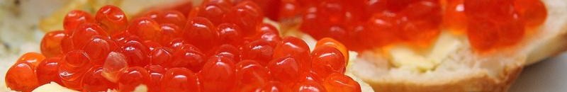 هذا هو أغلى طعام في العالم..! 10 اغلى طعام في العالم