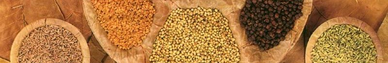 التوابل الهندية